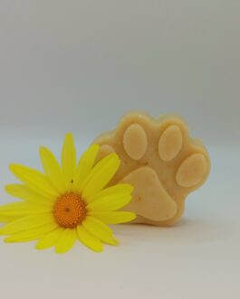 Shampoing pour animaux 30gr