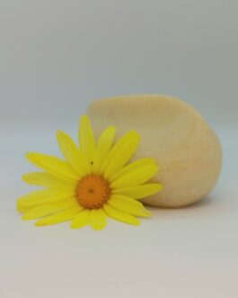 Shampoing pour animaux 95gr