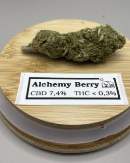 Fleurs-Alchemy Berry