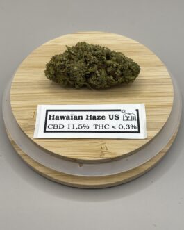 Hawwaïan Haze Us
