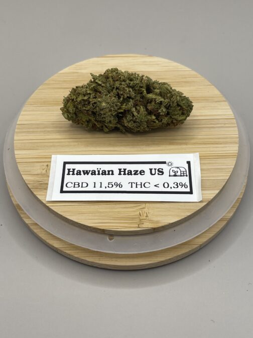 Hawaïn Haze US