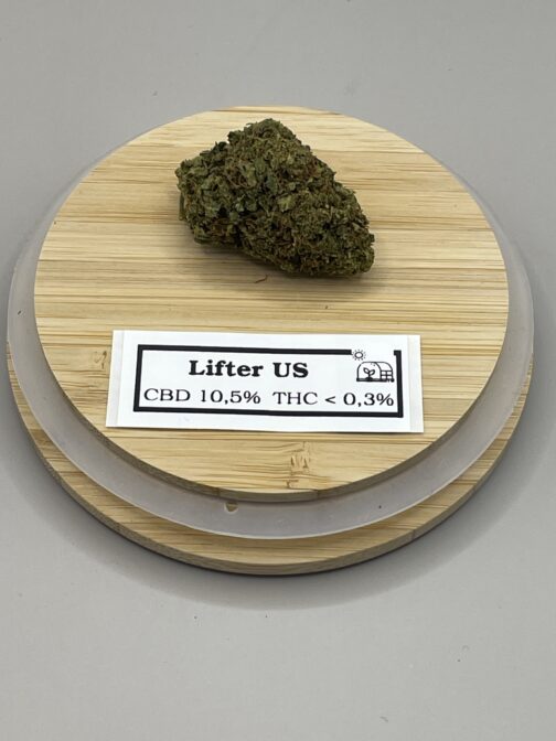Lifter US