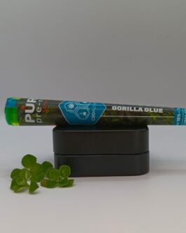 Pré-roulés Gorilla Glue