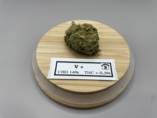 V+ - Fleurs de CBD