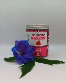 Bonbons – Gummies végan