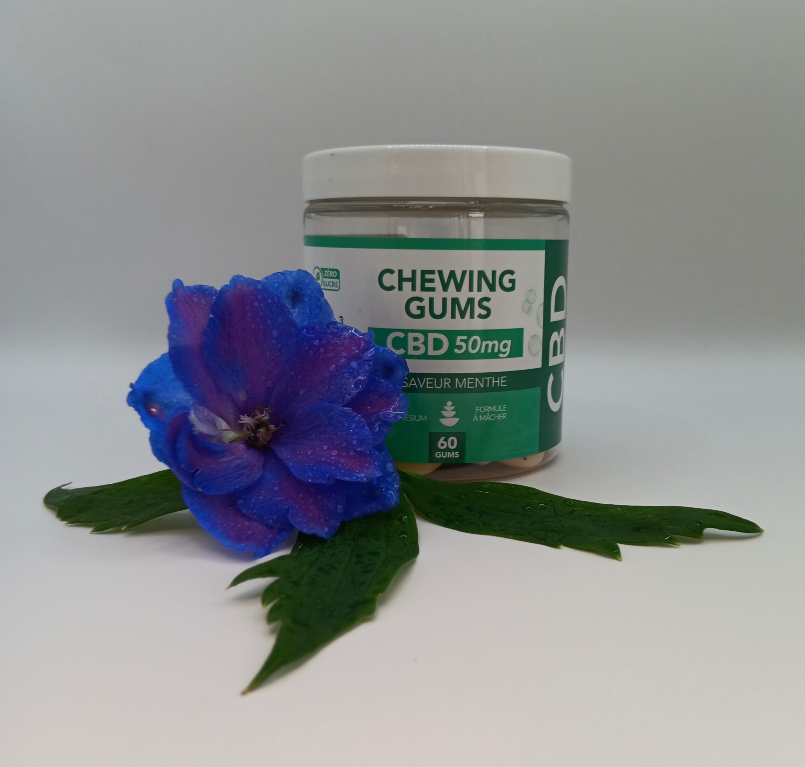 Chewing-gum CBD 50mg menthe Hexa3