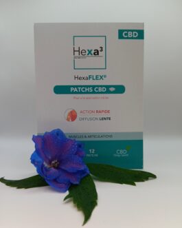 Patchs Hexa3 – 15 mg CBD