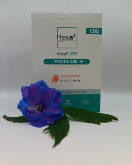 Patch CBD HEXA3 – 16mg