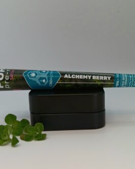 Pré-roulés Alchemy Berry