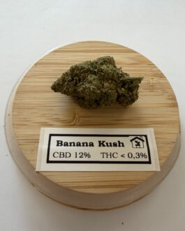 Fleurs de CBD banana kush